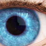 cura glaucoma, cura degenrazione maculare Metodo boel Bologna Dr Vanzini (1)