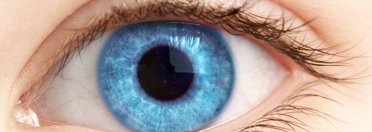 cura glaucoma, cura degenrazione maculare Metodo boel Bologna Dr Vanzini (1)